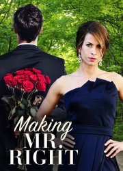 Watch Making Mr. Right