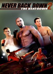 Never Back Down 2