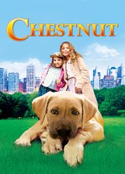 Watch Chestnut: Hero of Central Park