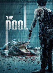 Watch The Pool