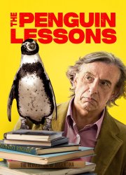 Watch The Penguin Lessons
