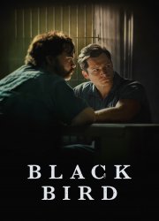 Watch Black Bird